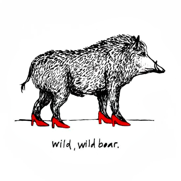 Wild Hog Drawing